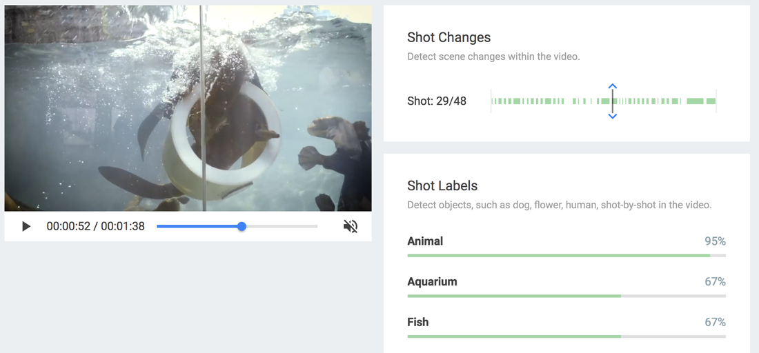 Screenshot of Google's Video Intelligence API